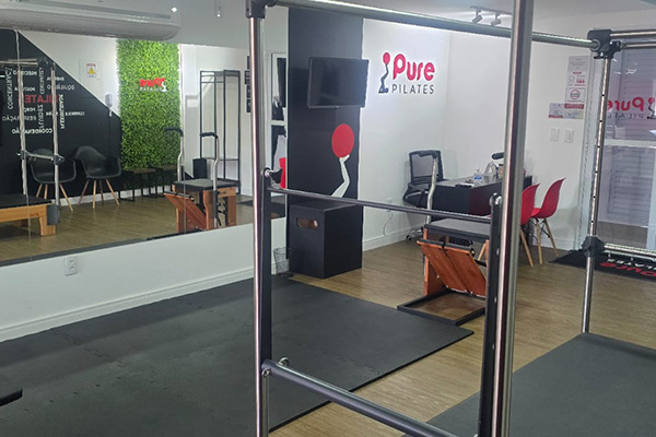 Pure Pilates - Indaiatuba - Ário Barnabé
