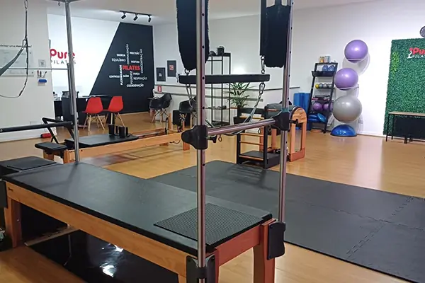 Pure Pilates - Manuel Gaya