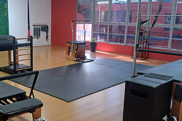 Pure Pilates - Manuel Gaya