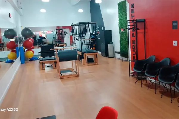 Pure Pilates - Parada Inglesa