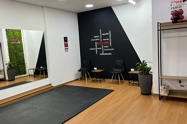 Pure Pilates - Perus