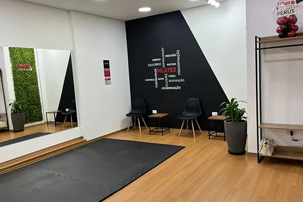 Pure Pilates - Perus