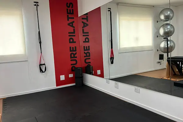 Pure Pilates - Santana de Parnaíba - Centro